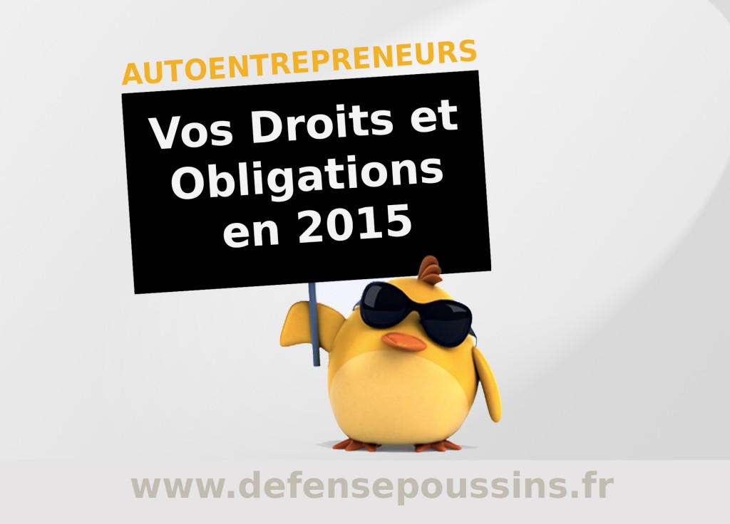 Autoentrepreneurs-droits-et-obligations-2015